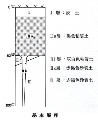 kinobunka zouri jp